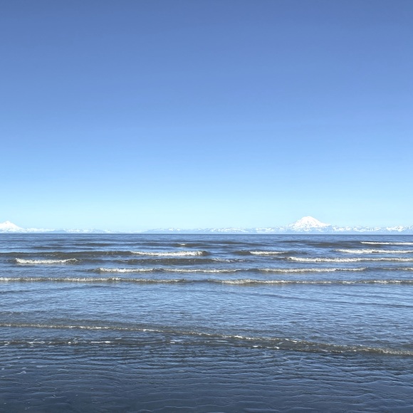 Meet your Posher, Lisa - Picture 2 of 2